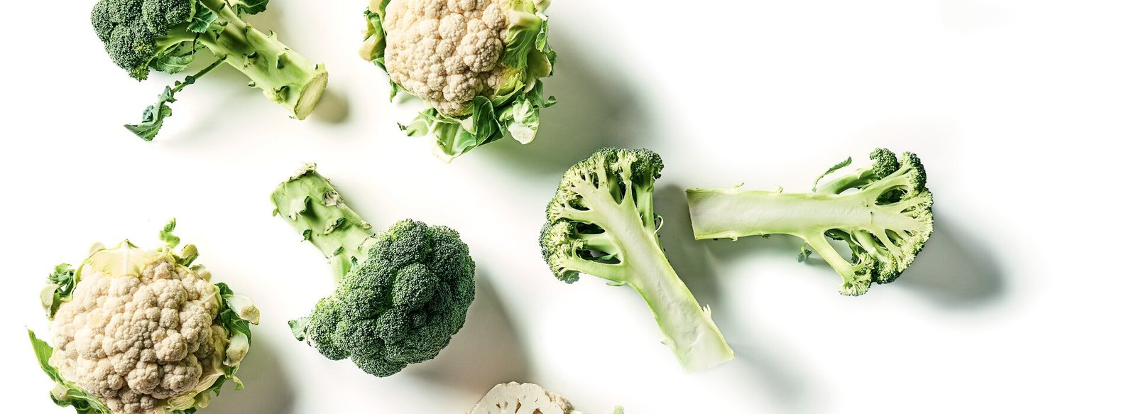 Coldline - We Take Care Of Your Food 